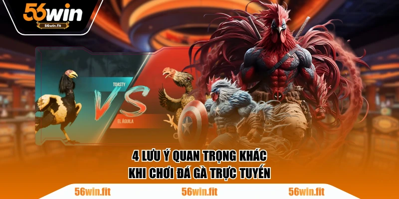 4 lưu ý quan trọng khác khi chơi đá gà trực tuyến